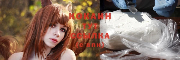 бошки Краснослободск