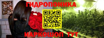 jwh Берёзовский