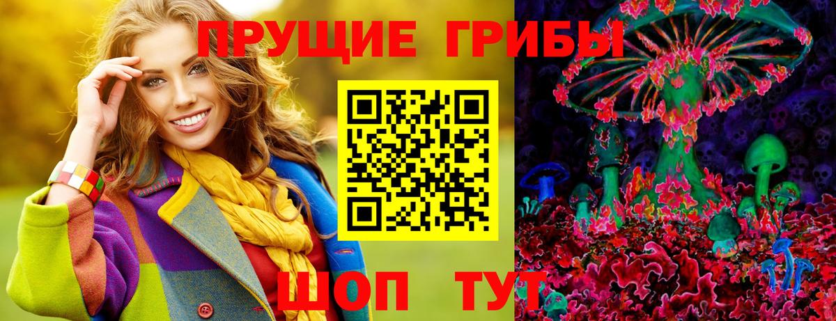 где купить наркотик  Галлюциногенные грибы мухоморы  Псилоцибиновые грибы GOLDEN TEACHER  Вход с VPN  Дзержинский 